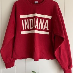 Cropped IU sweatshirt
